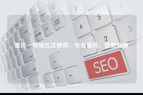 重庆一级域名注册商：专业服务，信誉保障