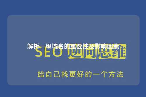 解析一级域名的重要性及影响因素