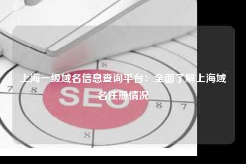 上海一级域名信息查询平台：全面了解上海域名注册情况