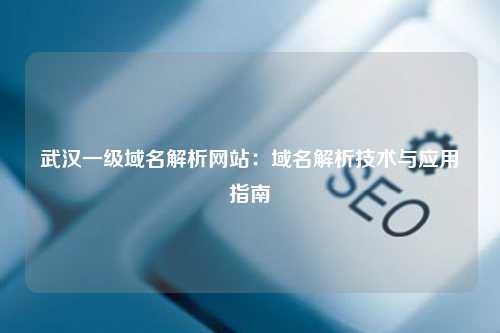 武汉一级域名解析网站：域名解析技术与应用指南